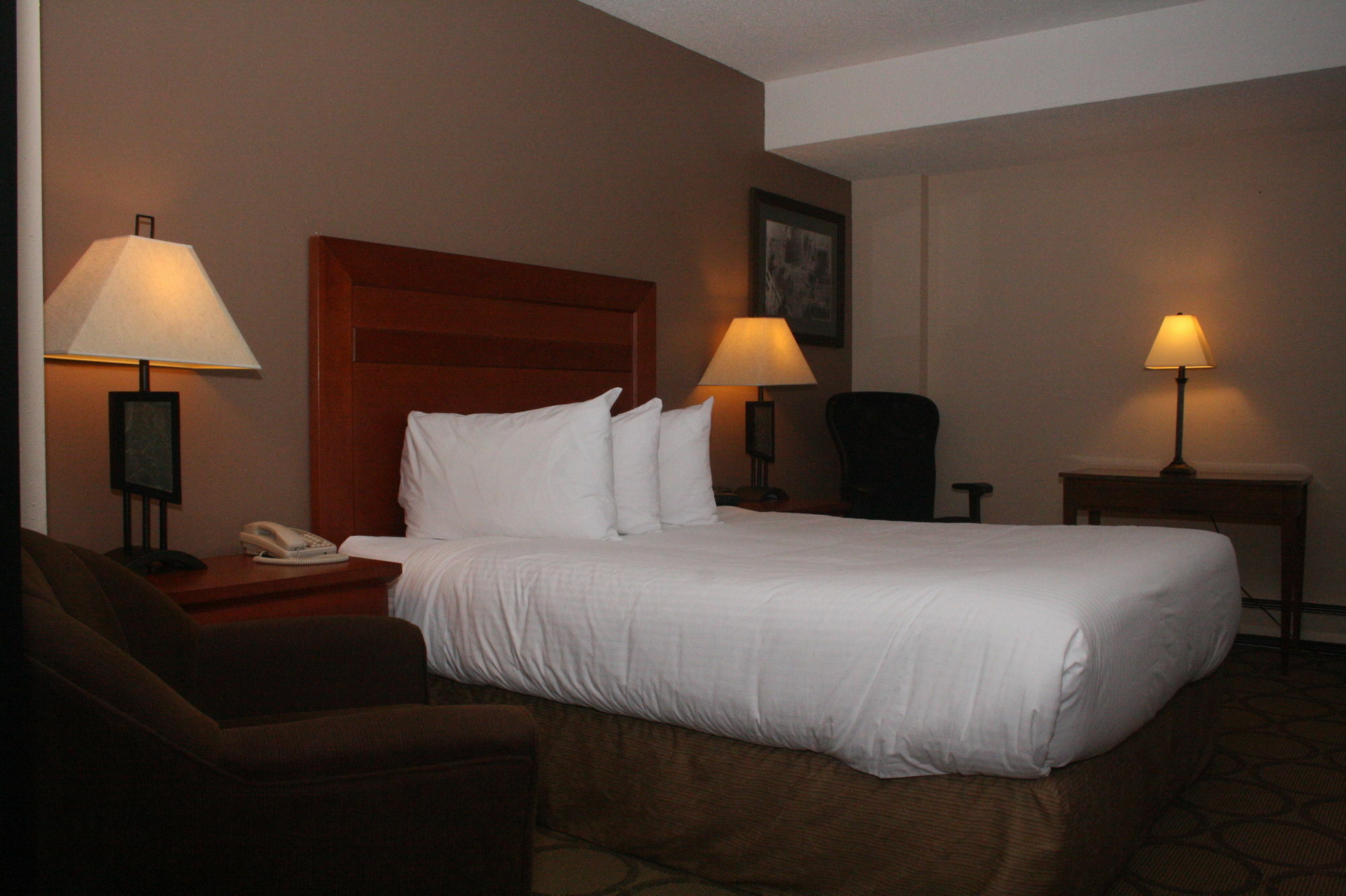 Lodge Econo